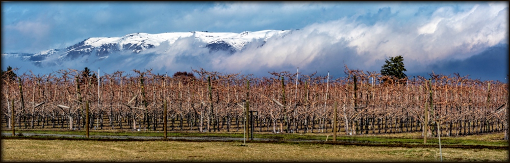 1-DSC_7006-Pano.jpg