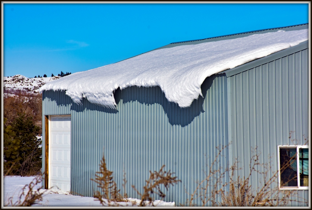 1-DSC_7020.jpg