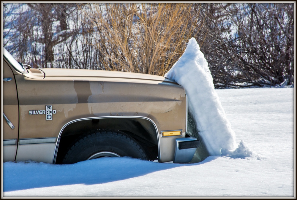 1-DSC_7049.jpg