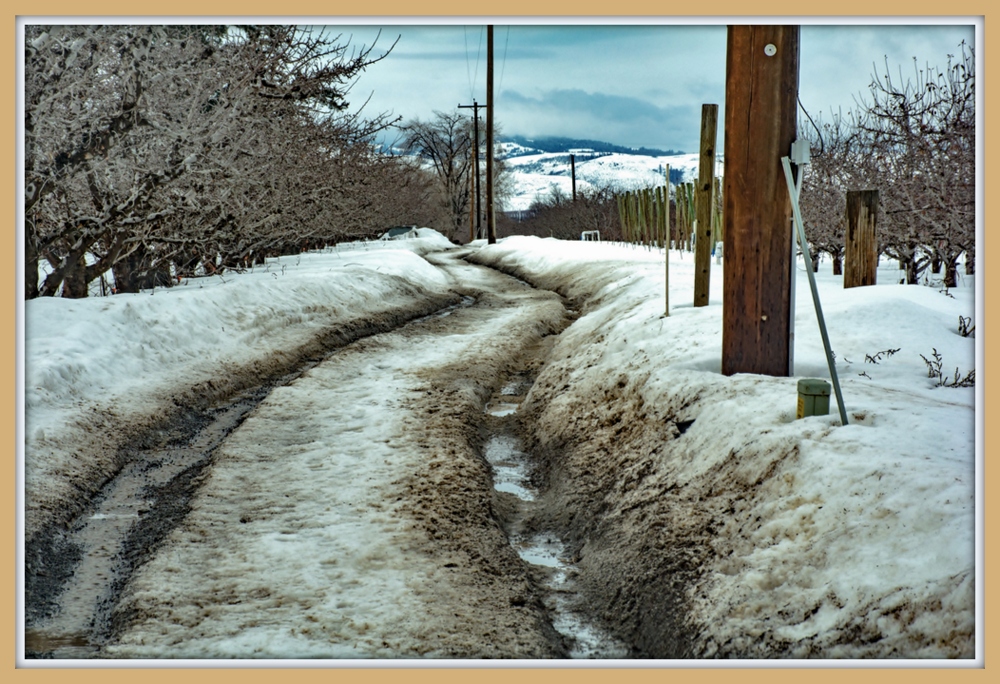 1-DSC_7123.jpg