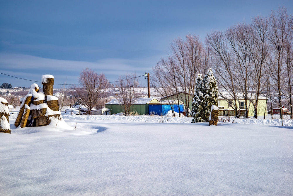 1-DSC_7135.jpg