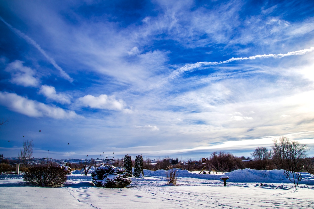 1-DSC_7163.jpg