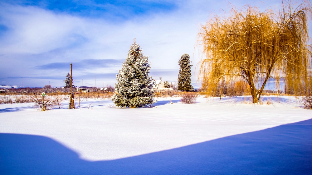1-DSC_7168.jpg
