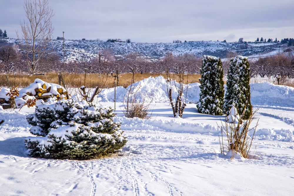 1-DSC_7185.jpg