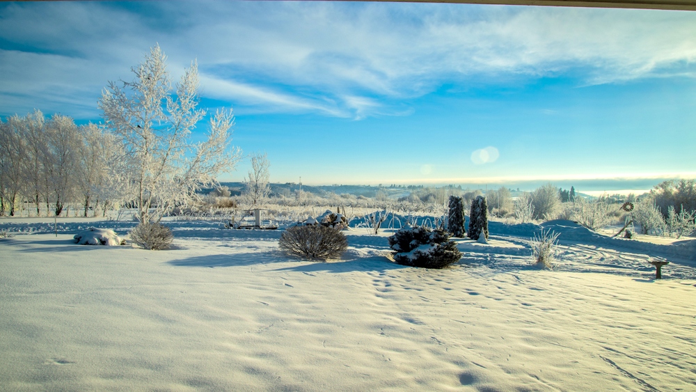 1-DSC_7210.jpg