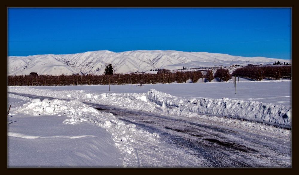 1-DSC_7297.jpg