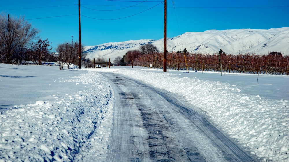 1-DSC_7299.jpg