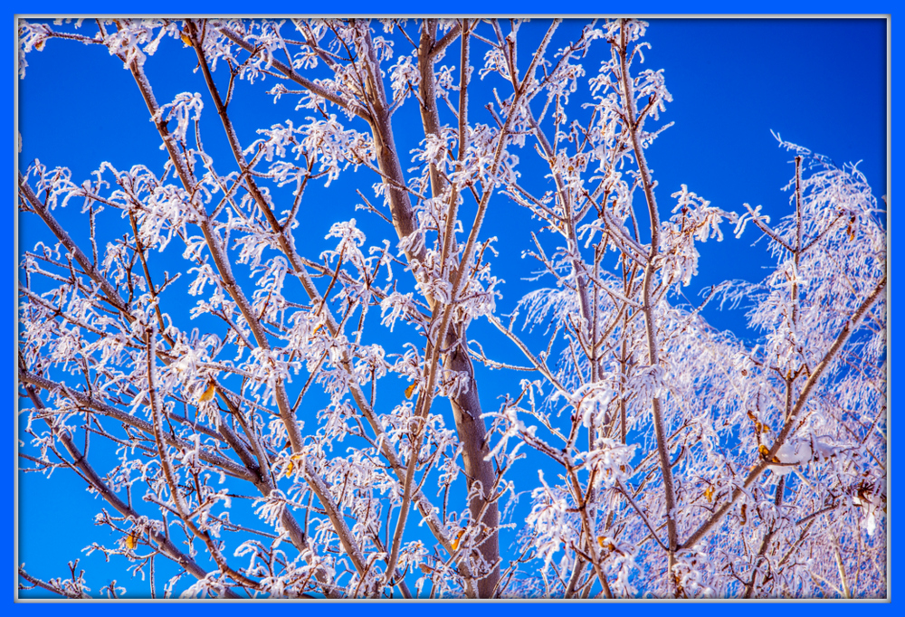 1-DSC_7300.jpg