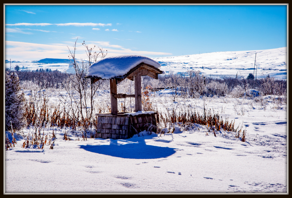 1-DSC_7305.jpg