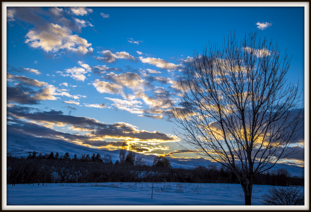 1-DSC_7317.jpg