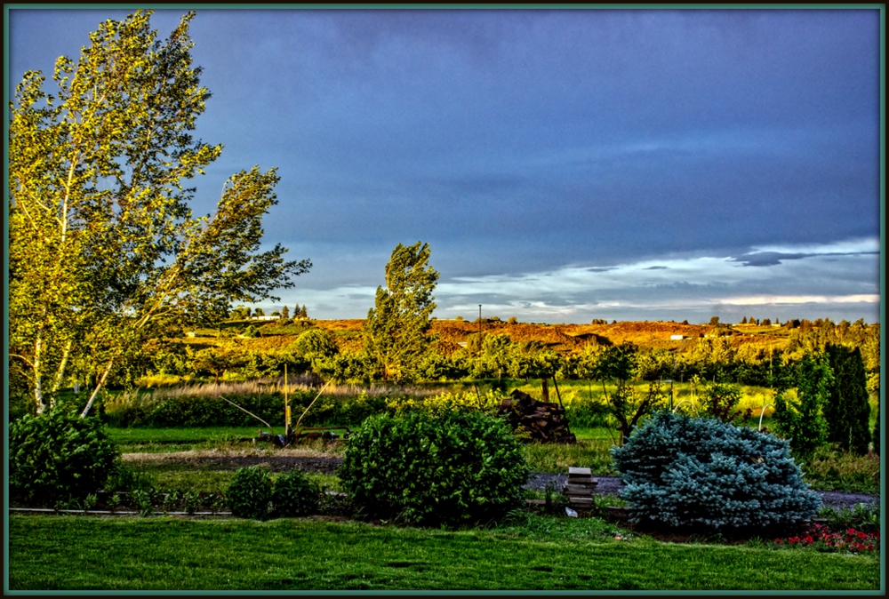 1-DSC_7355-Edit-001.jpg