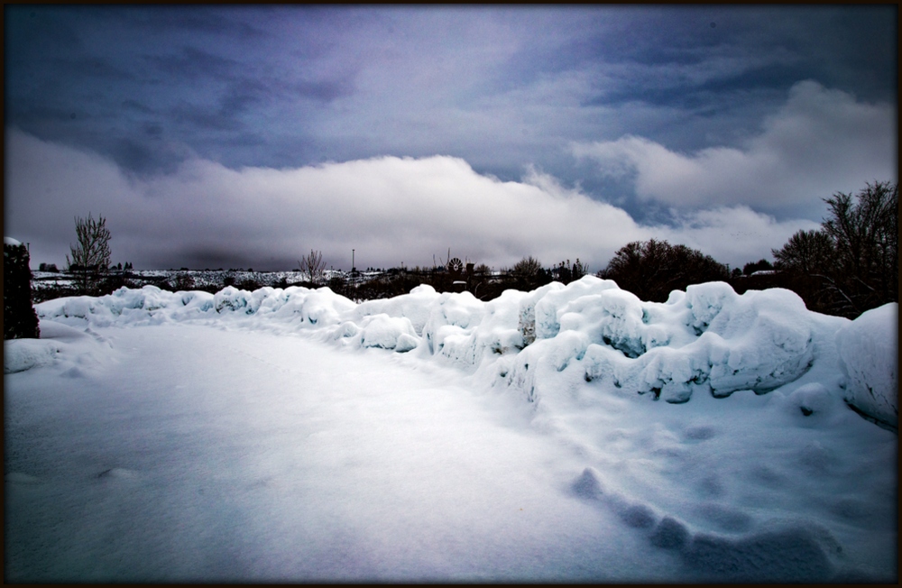 1-DSC_7386.jpg