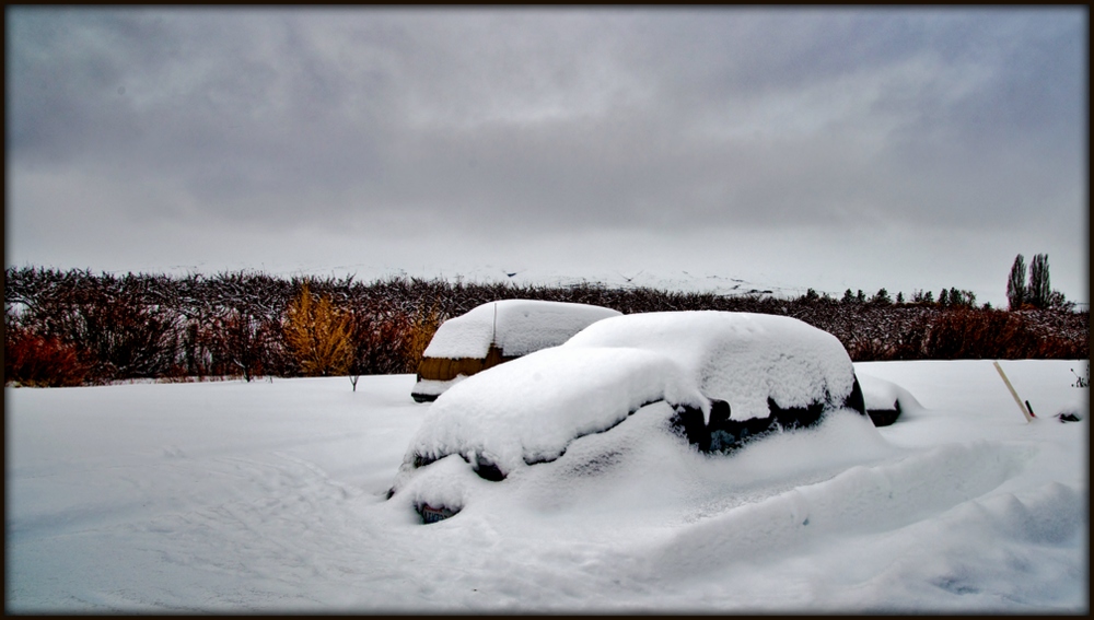 1-DSC_7389.jpg