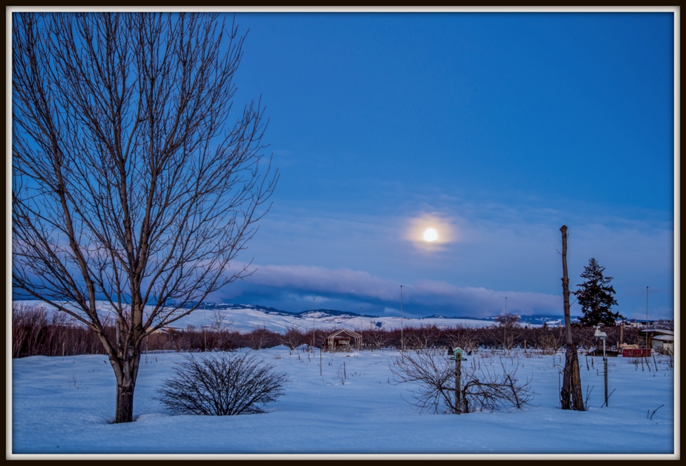 1-DSC_7510-Edit.jpg