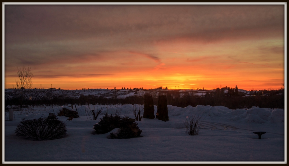 1-DSC_7529.jpg