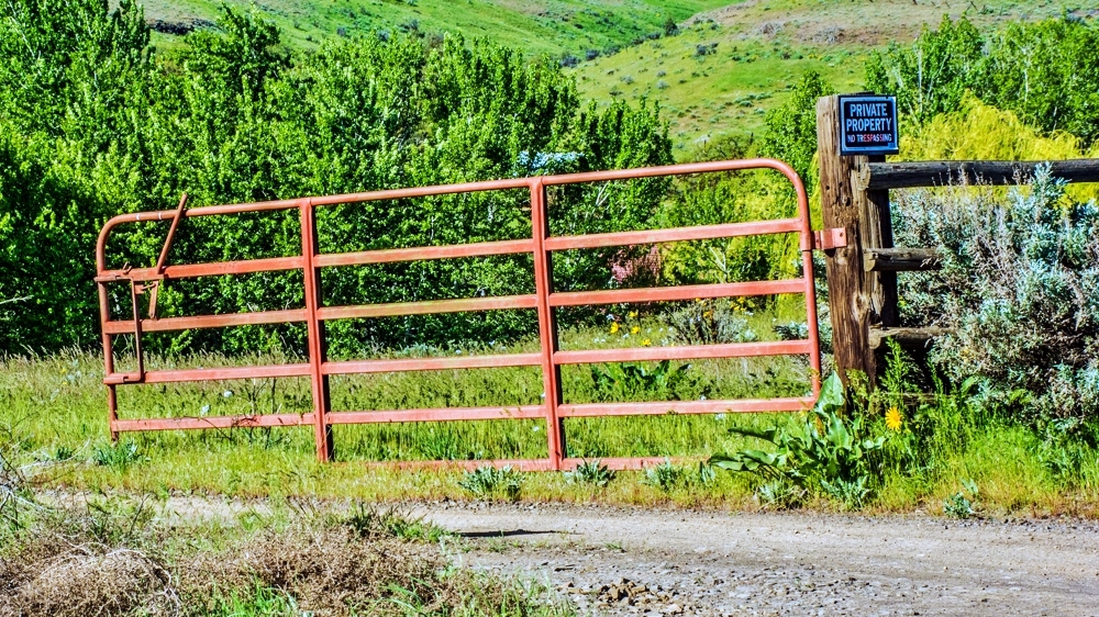 1-DSC_7777.jpg