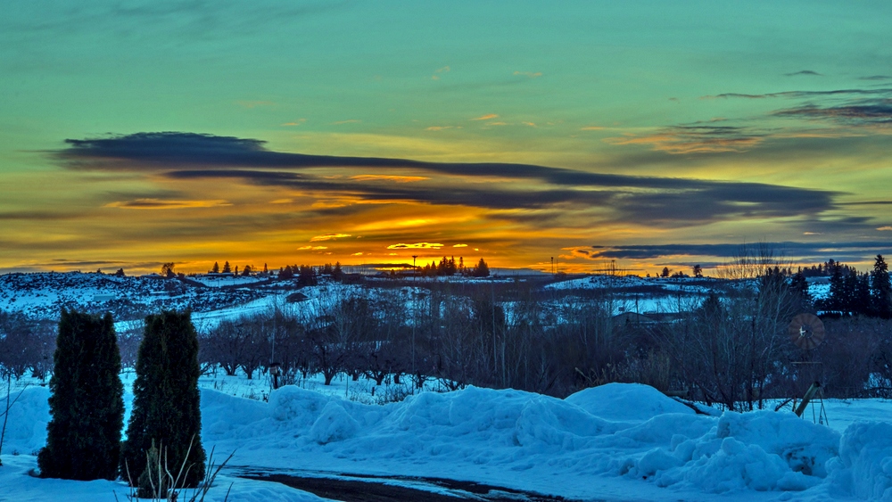 1-DSC_7993.jpg