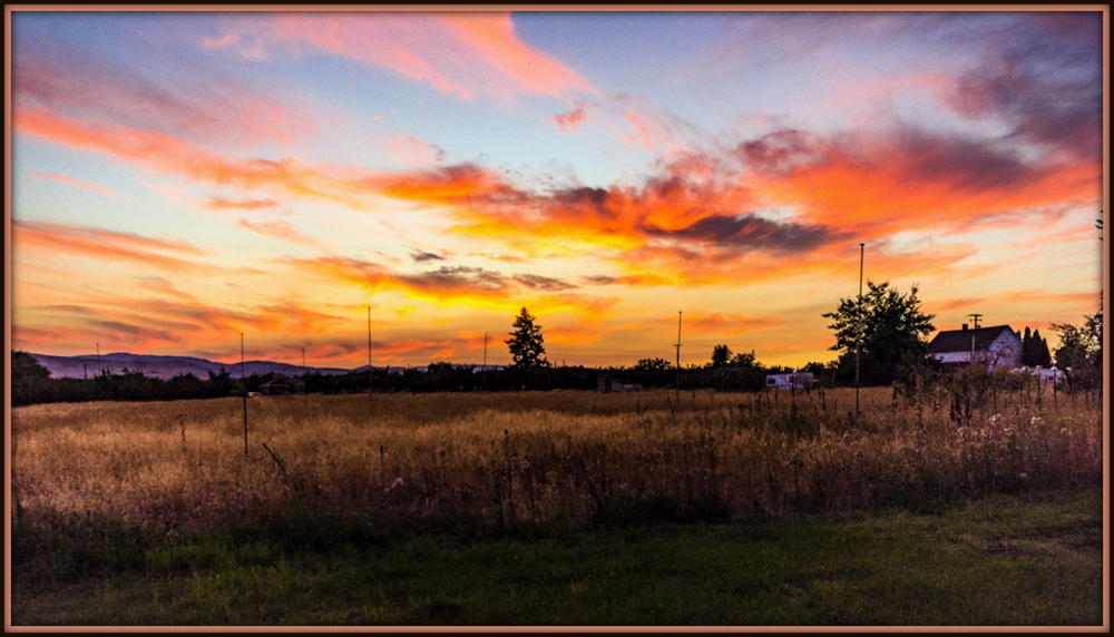 1-DSC_8334.jpg