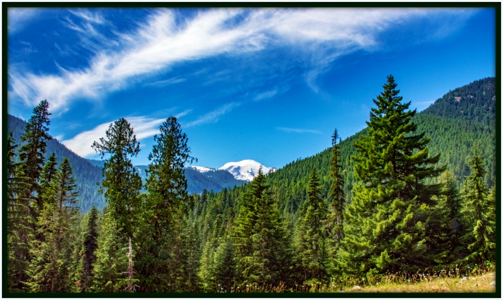 1-DSC_8361.jpg