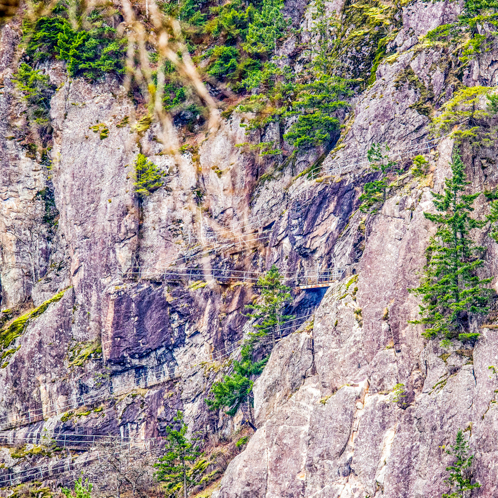 1-DSC_8380-Edit.jpg