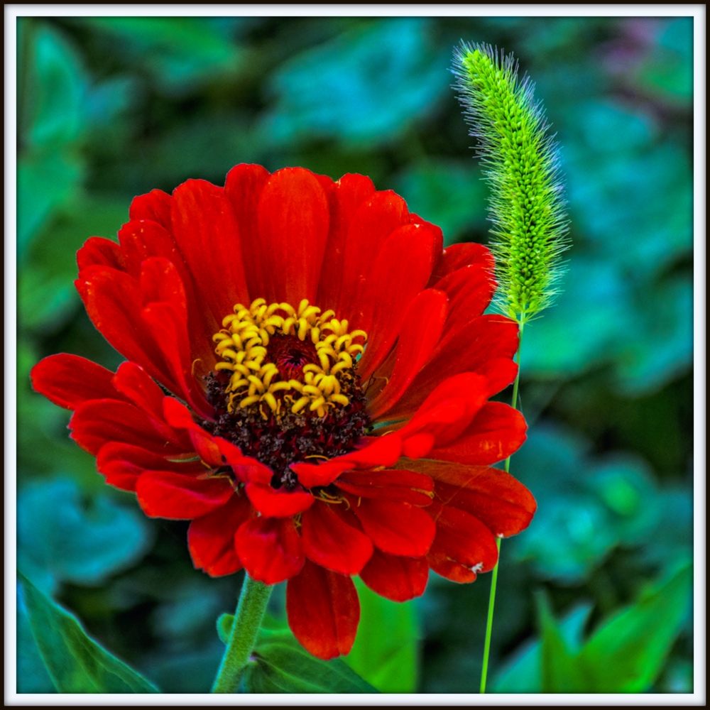 1-DSC_8827-Edit.jpg