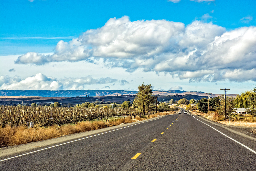 1-DSC_9305-Edit.jpg