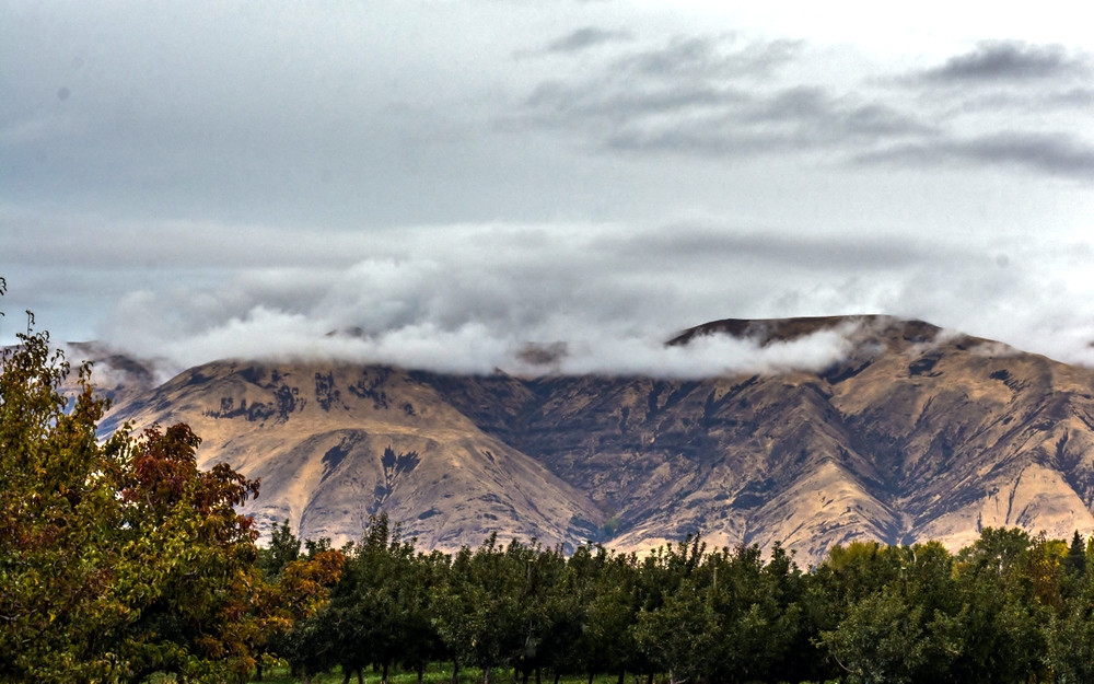 1-DSC_9312.jpg