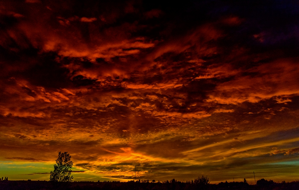 1-DSC_9361-Edit.jpg