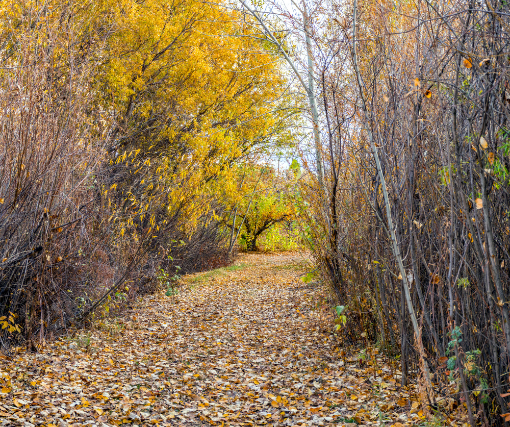 1-DSC_9576-Pano.jpg