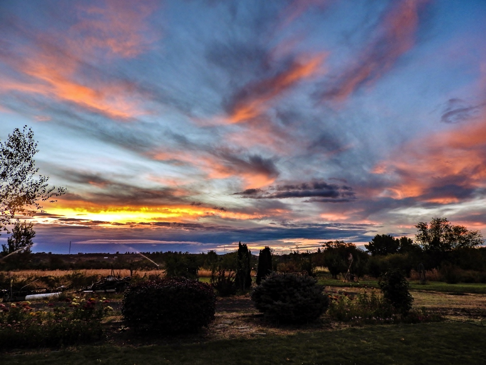 1-DSCN1243.jpg