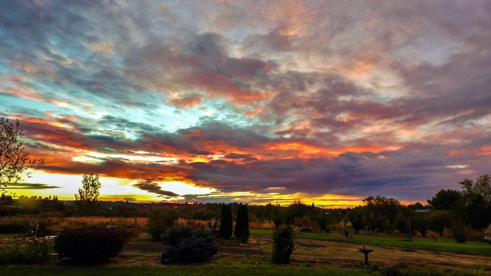 1-DSCN1247.jpg