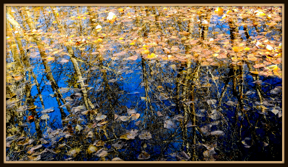 1-DSCN1339.jpg