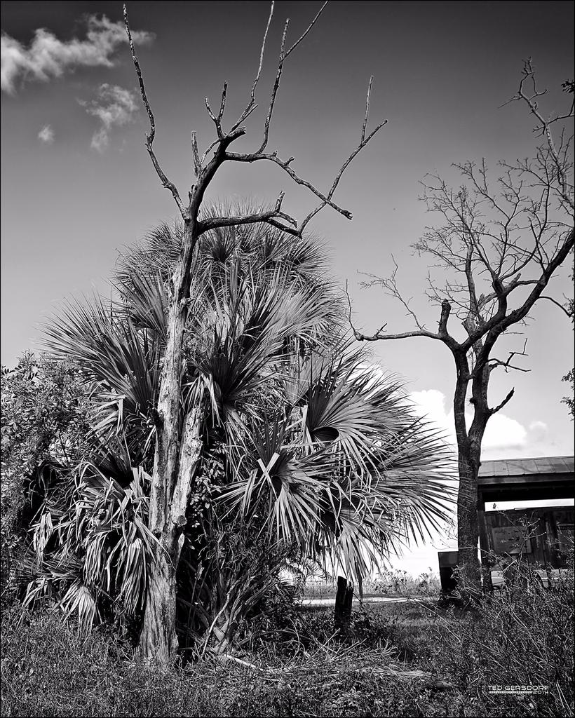 1  Welcome to Loxahatchee.jpg