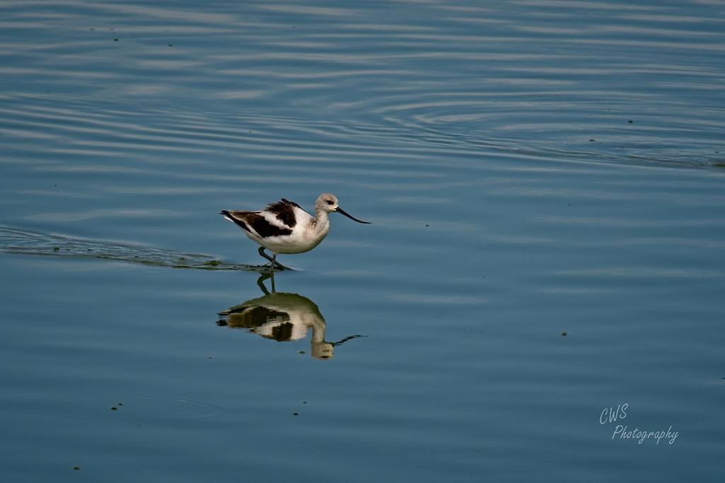 10-03-21-CR-_D502429-ON1.jpg