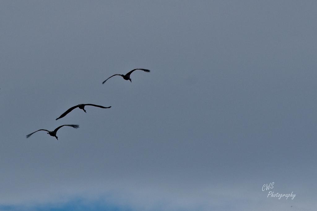 10-07-21-CR-_D502456-ON1 1.jpg