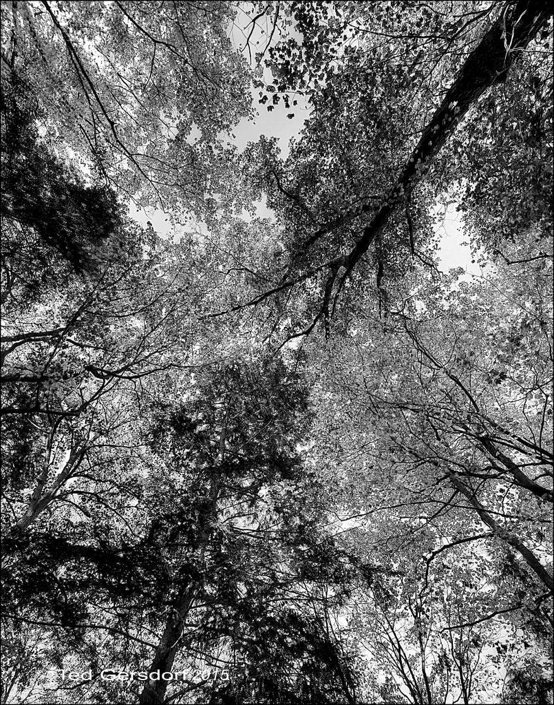 10-10-15 Penninsula and Brandy Wine   37BW.jpg