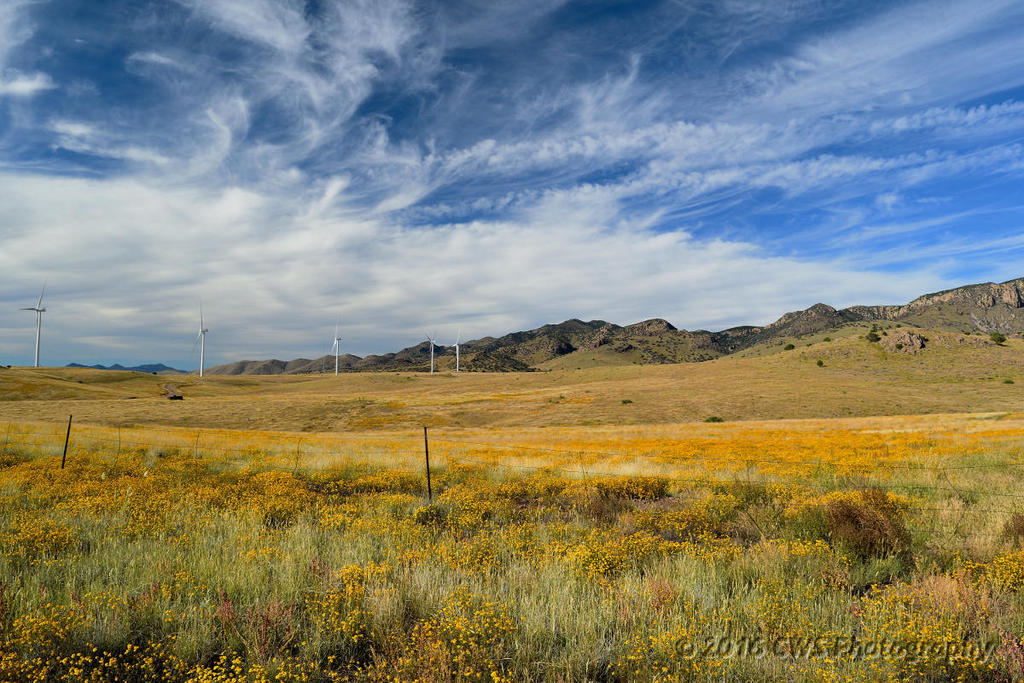 10-12-16_b4-DSC-cr_4239.jpg