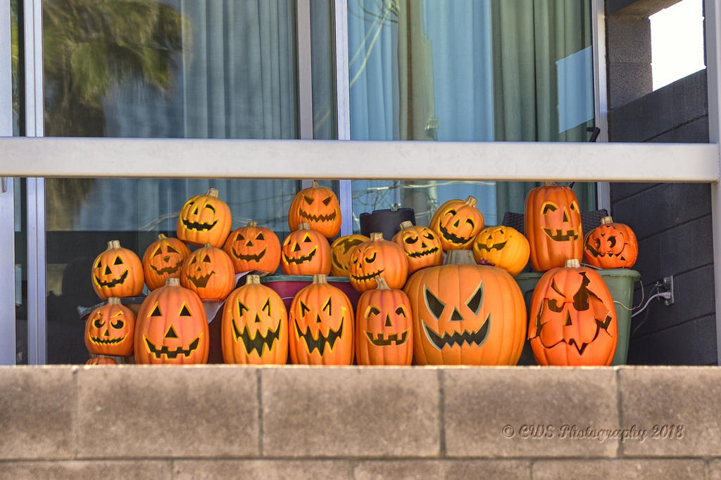10-17-18-cr__7507786.jpg