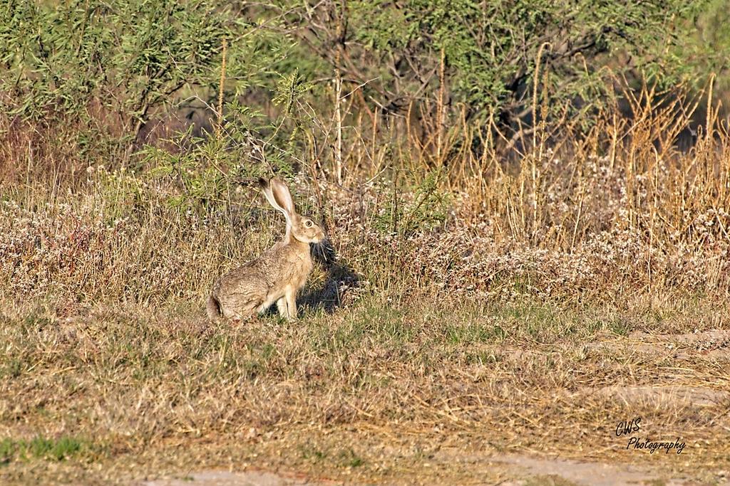 10-17-21-CR-_D502536-ON1.jpg