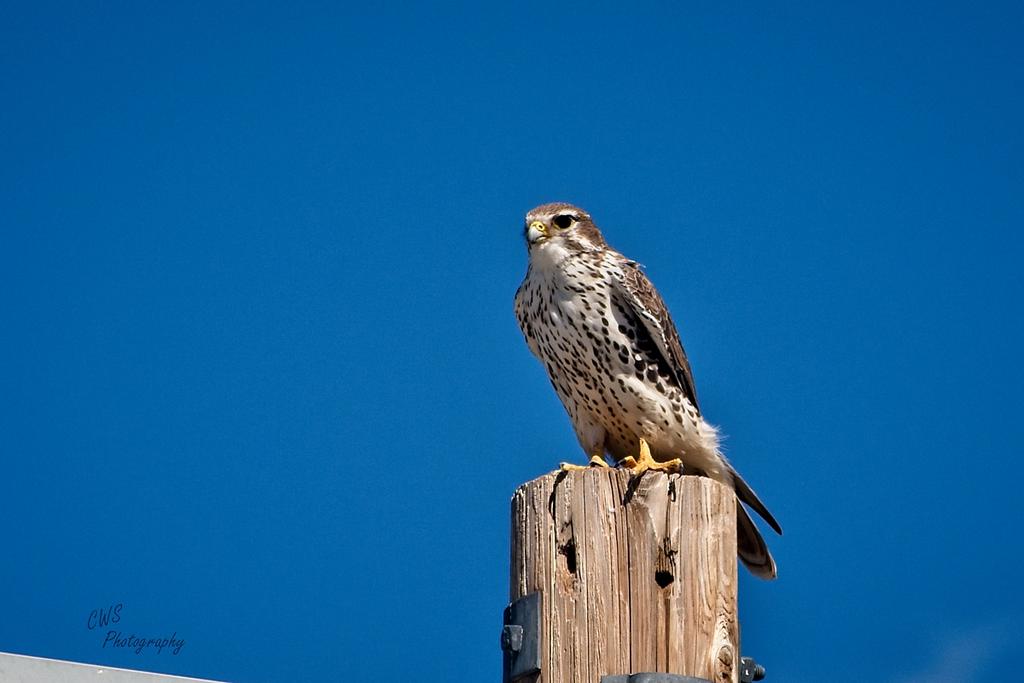 10-18-21-CR-_D502540-ON1.jpg