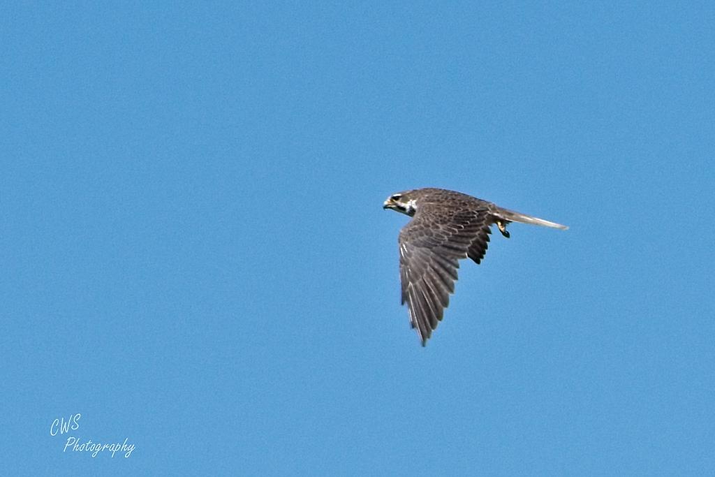 10-18-21-CR-_D502547-ON1.jpg