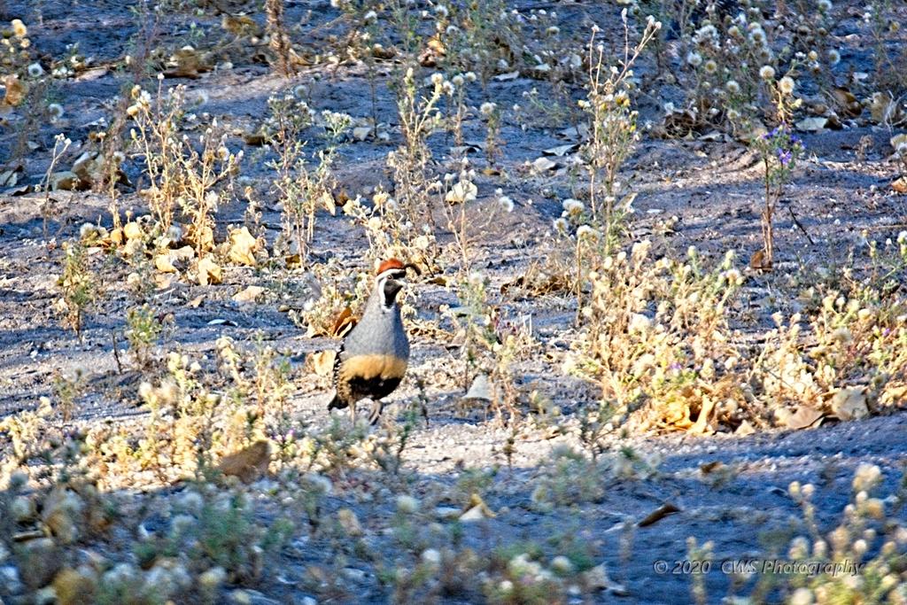 10-19-2020-cr_D7K4457-ON1-B.jpg