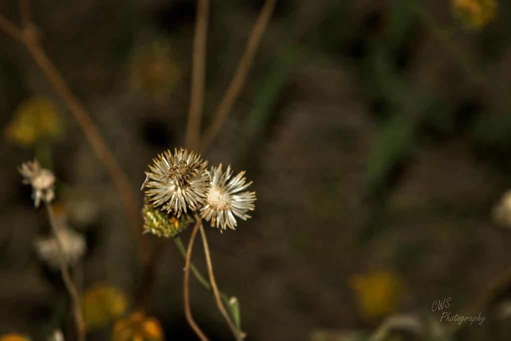 10-19-21-CR-_7505742-ON1.jpg