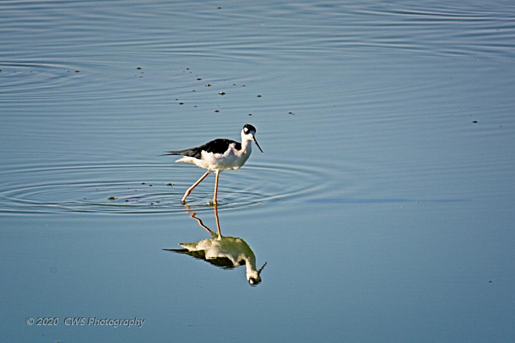 10-20-2020-cr_D7K4489-ON1-B.jpg