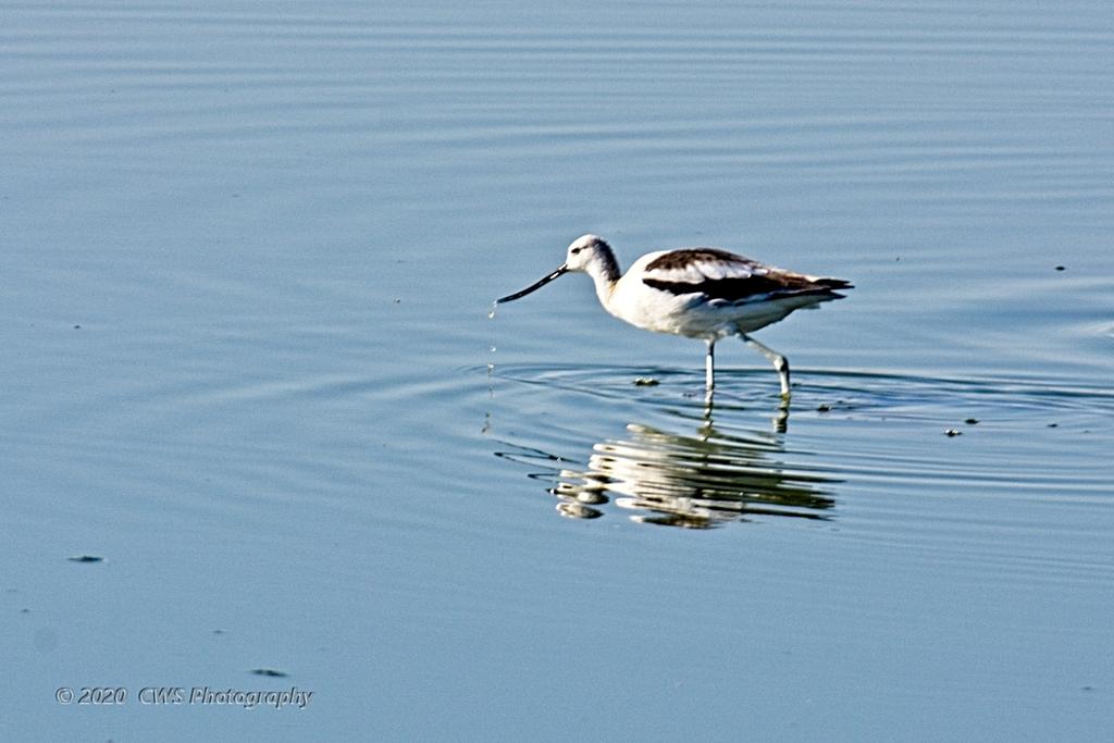 10-20-2020-cr_D7K4492-ON1-B.jpg