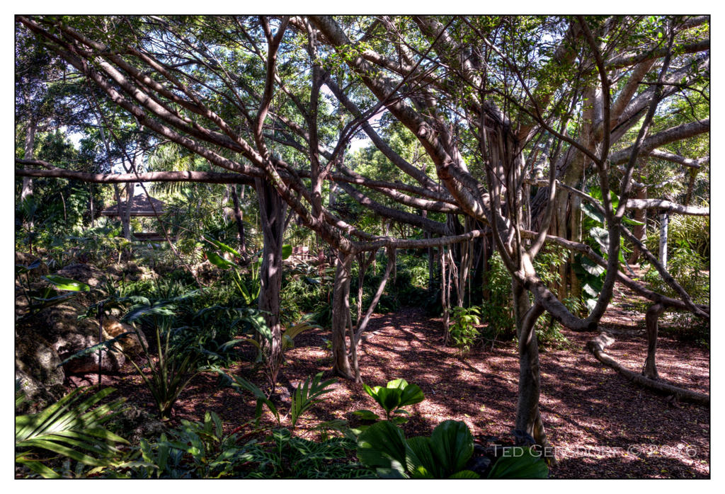 10-21-16 Arboretum HDR    10sm.jpg