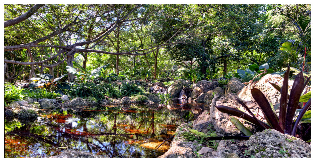 10-21-16 Arboretum HDR    12sm.jpg