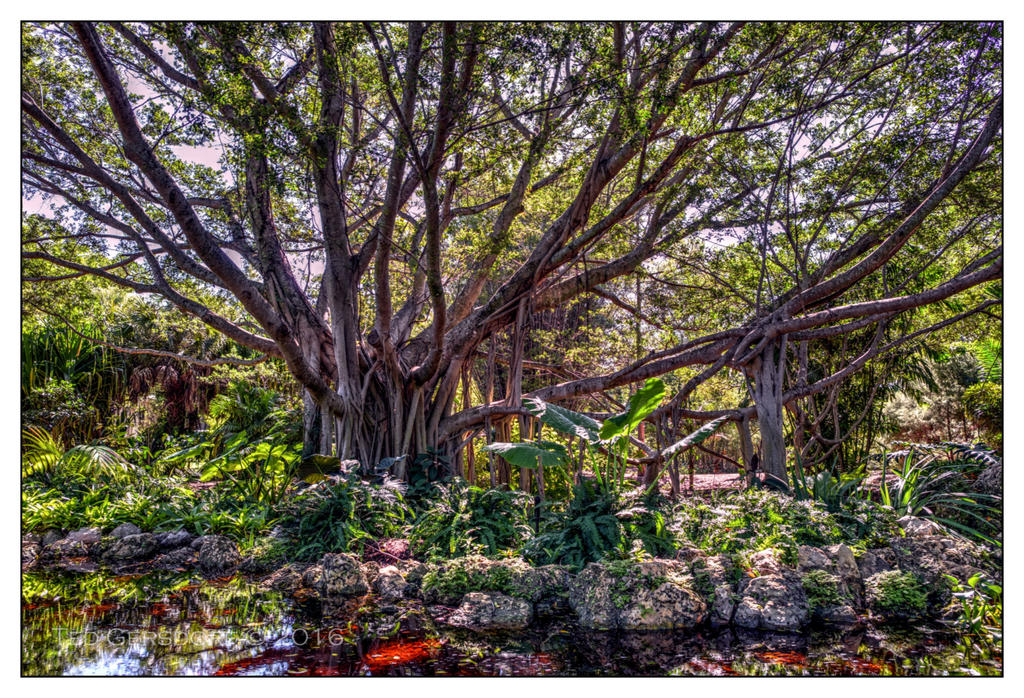 10-21-16 Arboretum HDR    13sm.jpg