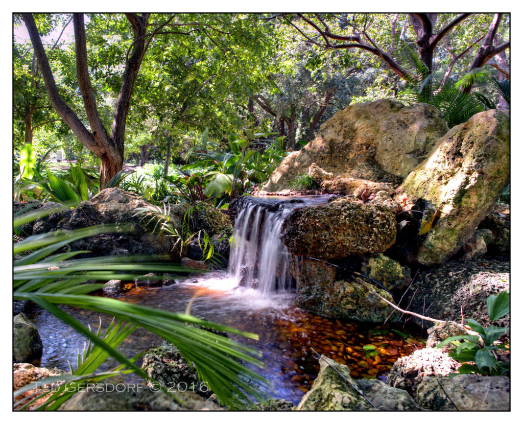 10-21-16 Arboretum HDR    15sm.jpg
