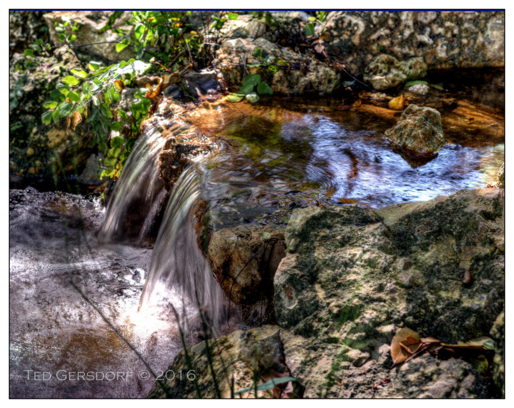 10-21-16 Arboretum HDR    17sm.jpg